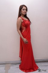 Nikitha at Terror Movie Press Meet